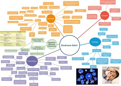 Solution Sindromes Studypool