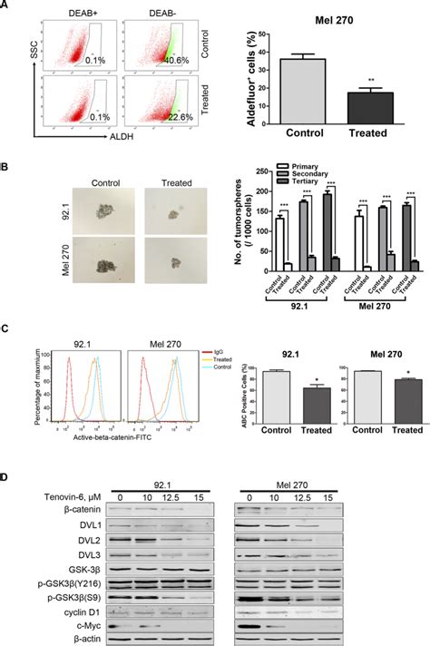 Class Iii Specific Hdac Inhibitor Tenovin 6 Induces Apoptosis