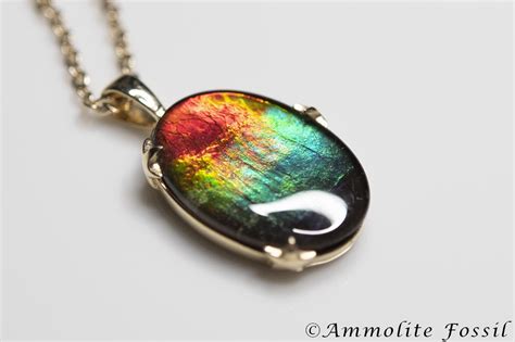 Ammolite Buying Tips - Ammolite Fossil