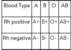 O negative blood type with rh factor - walllily