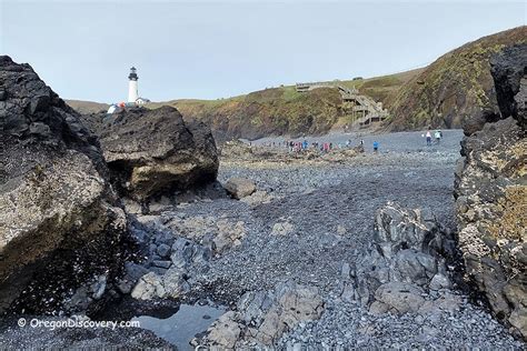 Cobble Beach - Oregon Coast Natural Wonder - Oregon Discovery