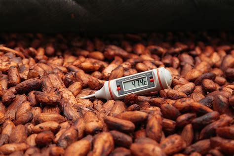 cuyamel cocoa flavor map