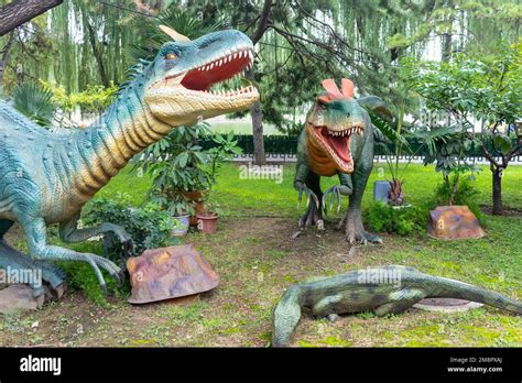 Parque De Dinosaurios De China Fotografías E Imágenes De Alta Resolución Alamy