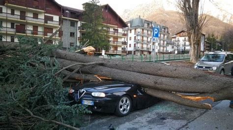 Forte Vento Nel Torinese Alberi Caduti E Roghi In Valsusa La Repubblica