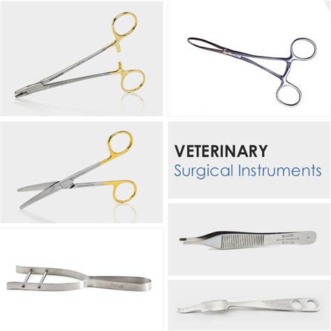 Best Veterinary Surgical Instruments for Veterinary Surgeons - Foolic