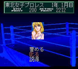 Wrestle Angels Double Impact Screenshots For Turbografx Cd Mobygames