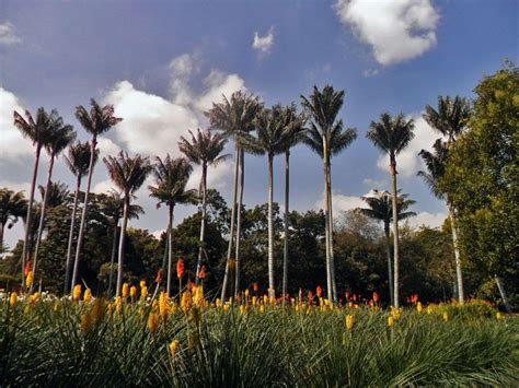 El Jardín Botánico de Bogotá