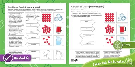 Guía De Trabajo Cambios De Estado Recorta Y Pega Twinkl