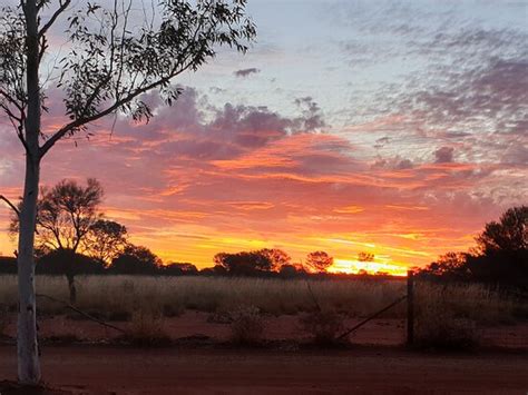 Wiluna Pictures - Traveler Photos of Wiluna, Western Australia - Tripadvisor