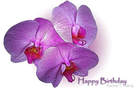 Happy Birthday Images With Orchids💐 — Free Happy Bday Pictures And