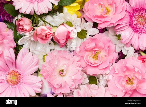 Rosas Suaves Gerbera Y Crisantemo Flores En Colores Pastel