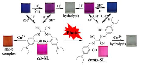 科学网—基于salen希夫碱的光致顺反异构ph和cu2荧光探针 向海峰的博文