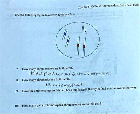 Solved Chapter Cellular Reproduction Cells From Cells Use The