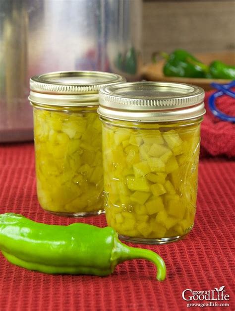 How To Can Green Chile Peppers Recipe Canned Green Chilies Stuffed