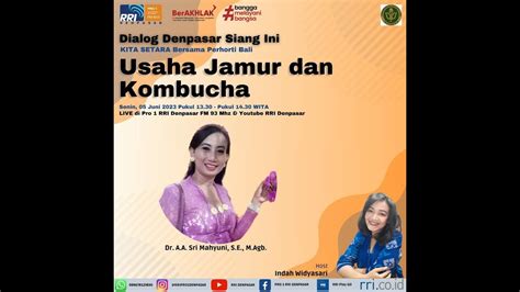 Dialog Denpasar Siang Ini Usaha Jamur Dan Kombucha Youtube