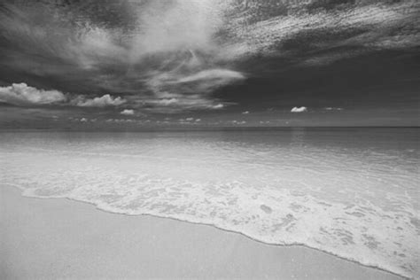 Black And White Beach Stock Photos, Images and Backgrounds for Free ...