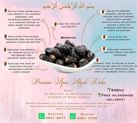 Sg Ready Stocks Free Delivery Premium Ajwa Aliyah Dates Ajwa