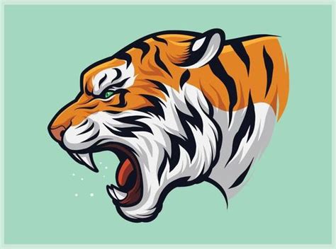 Tiger Vector Art Icons And Graphics For Free Download