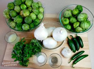 Roasted Salsa Verde Canning Recipe | Great Lakes Prepping