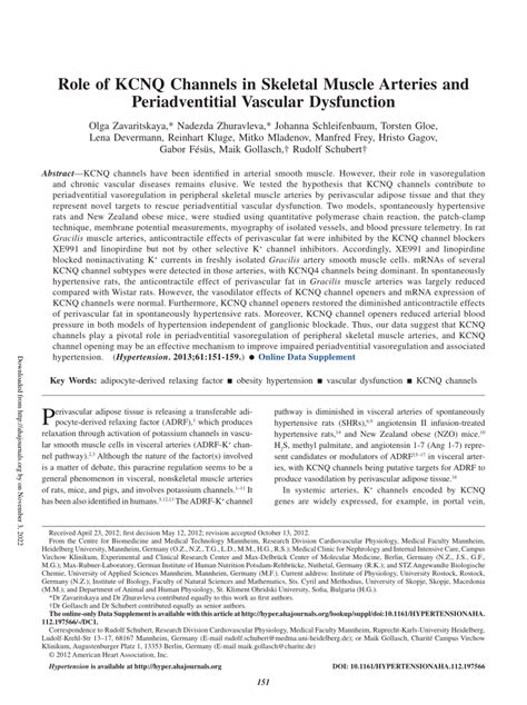 PDF Role Of KCNQ Channels In Skeletal Muscle Arteries And