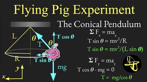 Flying Pig Uniform Circular Motion And Centripetal Force Youtube