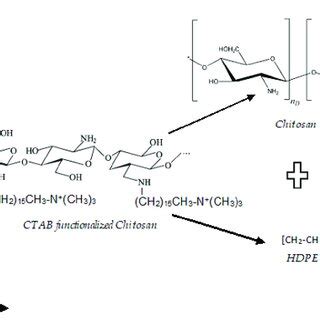 Scheme 1 Schematic Representation Of The Possible Interaction Of The