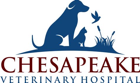 Contact Chesapeake Veterinary Hospital