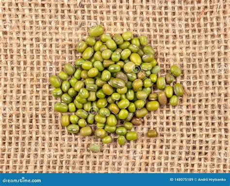 Green Grains Mung Stock Image Image Of Pile Detail