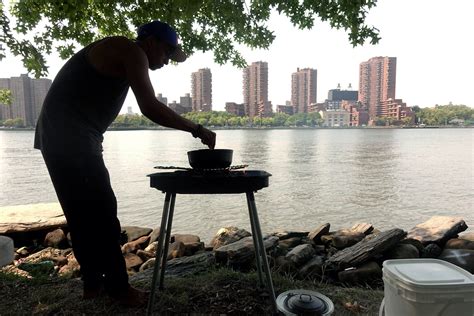 The secret nature randalls island preserves away from the city noise 2