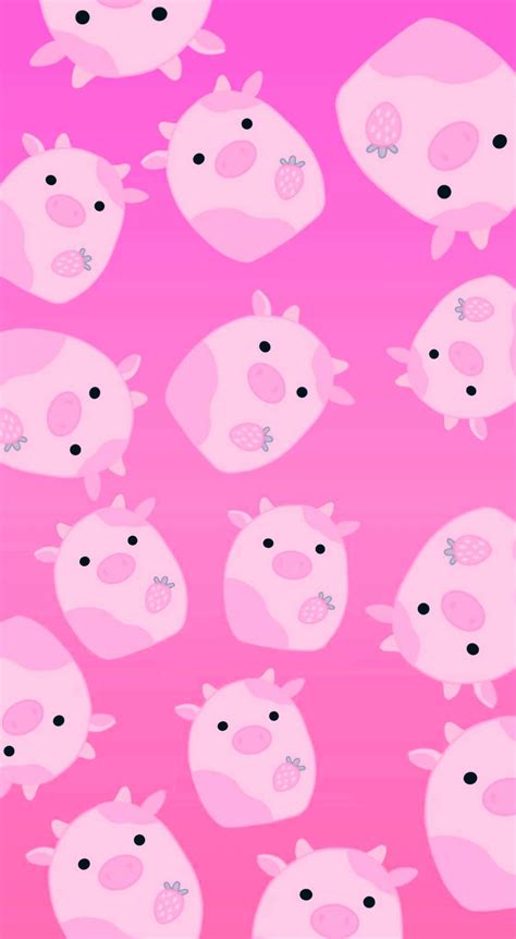 Squishmallow Wallpaper - Wallpaper Sun