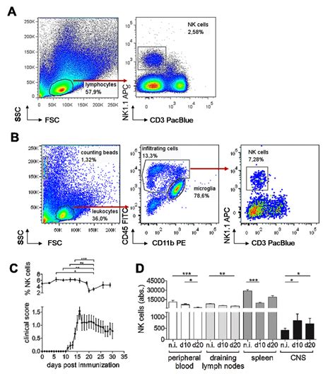 NK Cell Dynamics In WT EAE Mice C57 BL6 Mice N 24 Were Immunized