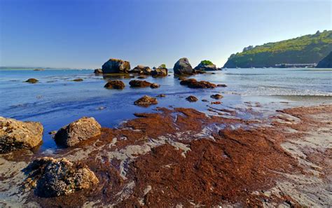 Trinidad State Beach in Trinidad, CA - California Beaches