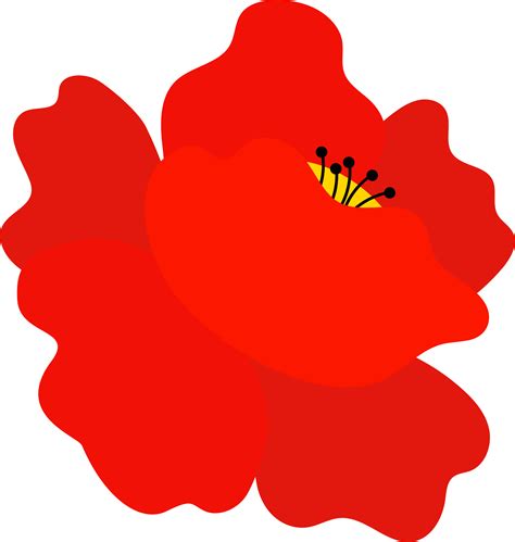 Red Poppy Flower 9668513 Png