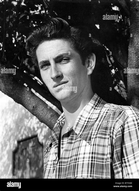 John Drew Barrymore John Drew Barrymore John Drew Barrymore Stock Photo ...