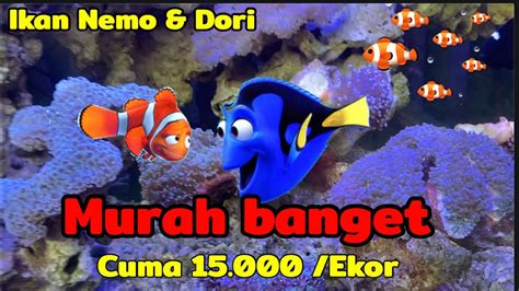 Ikan Nemo Biru 54 Koleksi Gambar