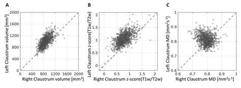 Claustrum characteristics. The left claustrum"s properties are plotted ...