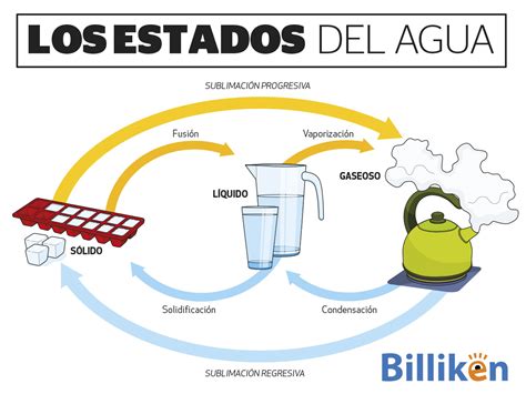 Los Estados Del Agua Todo Lo Que Necesit S Saber Y Una Infograf A Para