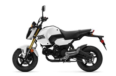 Honda Grom Abs Review Total Motorcycle