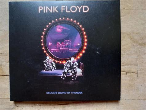 Pink Floyd Delicate Sound Of Thunder Cd Aukro