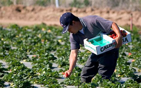 Fruits of oppression: Plight of migrant farmworkers at center of Fresh ...