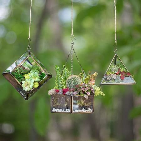 glass-terrarium-hanging-indoor-garden - Craftionary