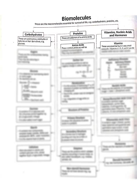 Solution Biomolecules Mindmap Quick Revision Studypool