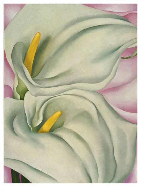 Georgia O Keeffe Two Calla Lillies On Pink Oil On Canvas