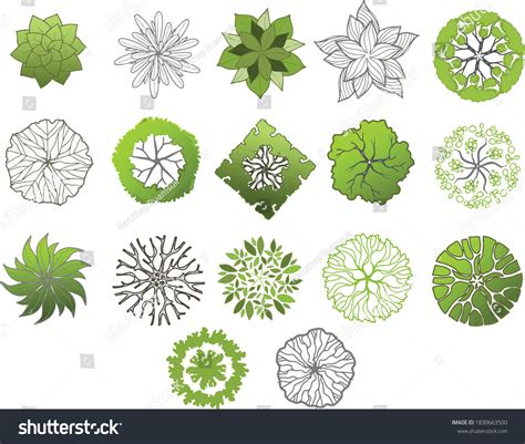 top view trees layout template stock vector royalty