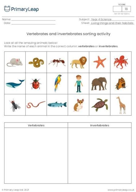 Vertebrates Invertebrates Sorting Activity Vertebrates And