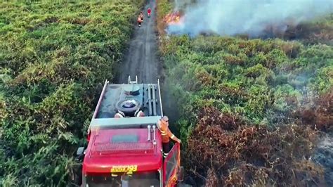 Incendios R Cord En El Pantanal Brasile O En Junio Antes De La