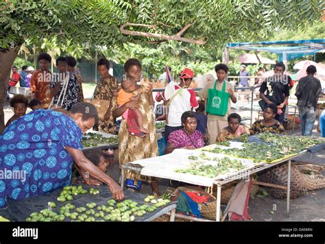 Papua New Guinea Betel Nut Hi Res Stock Photography And Images Alamy