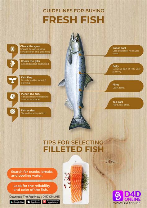 How To Identify Fresh Fish Infographics