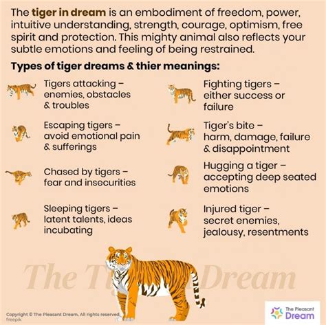 Tiger Dream Meaning Types Of It Their Interpretations