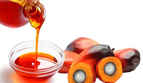 How To Start A Palm Oil Business In Nigeria